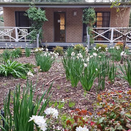 Barossa Country Cottages Lyndoch Exteriör bild