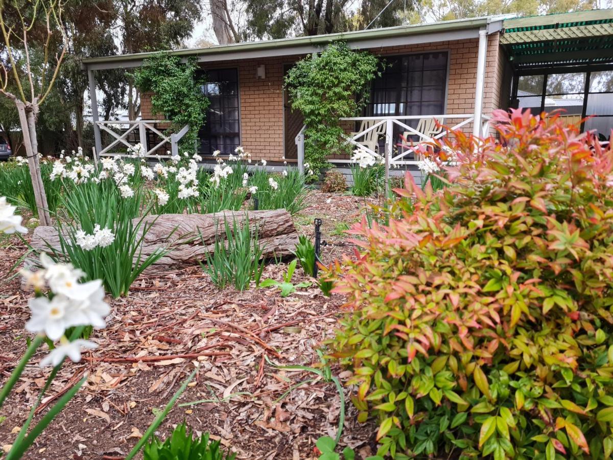 Barossa Country Cottages Lyndoch Exteriör bild